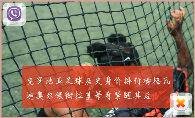 克罗地亚足球历史身价排行榜格瓦迪奥尔领衔拉基蒂奇紧随其后