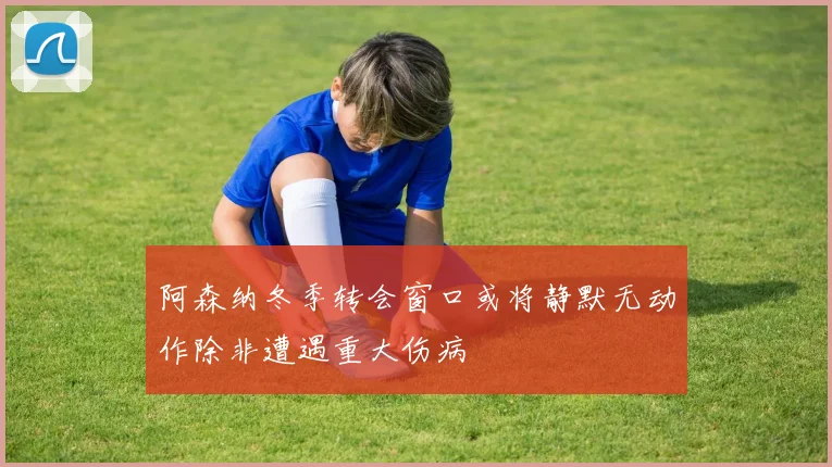 阿森纳冬季转会窗口或将静默无动作除非遭遇重大伤病