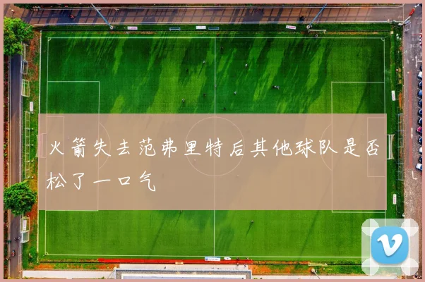 火箭失去范弗里特后其他球队是否松了一口气